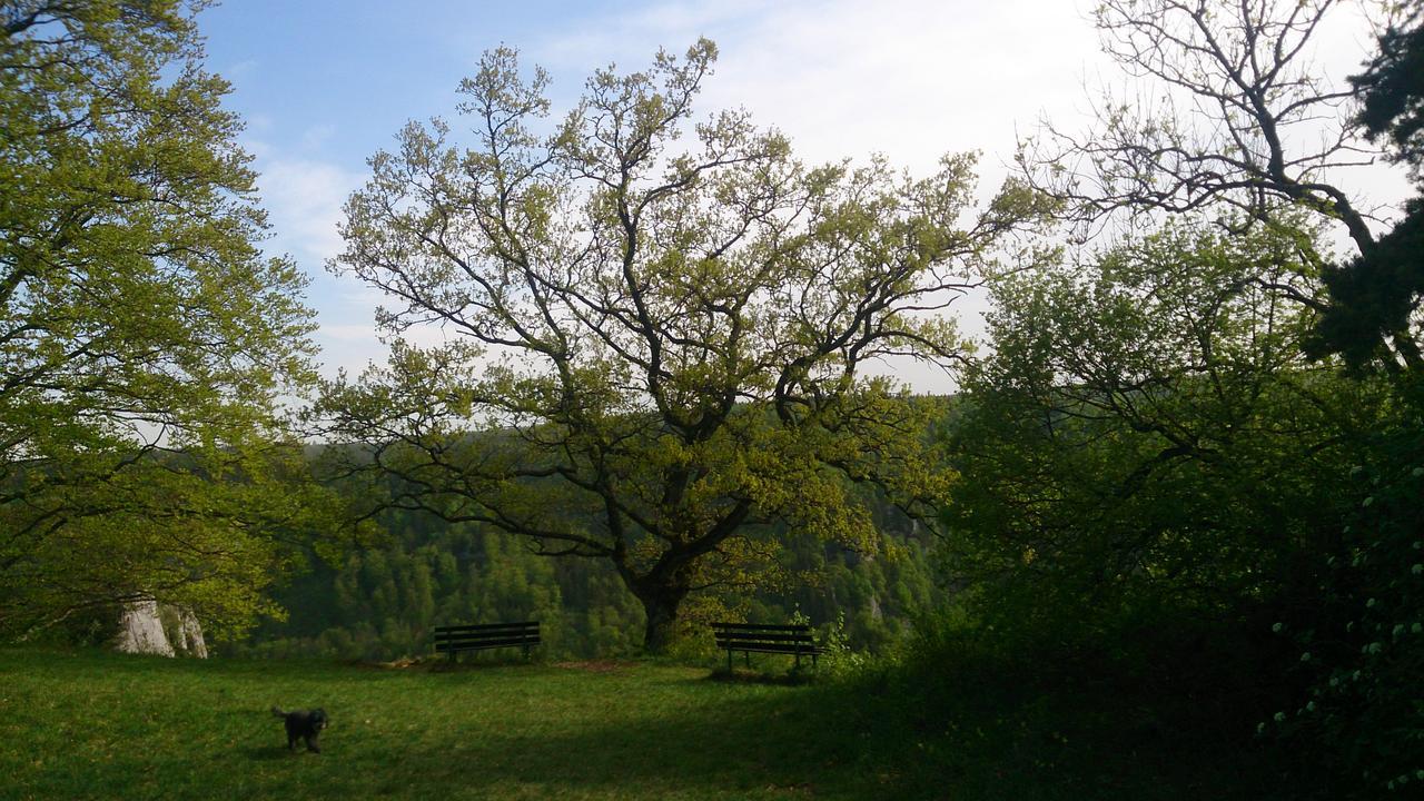 Fridingen an der Donau Berghaus Knopfmacher מראה חיצוני תמונה