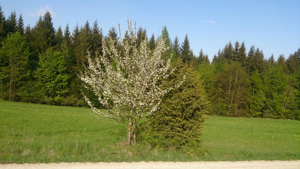 Fridingen an der Donau Berghaus Knopfmacher מראה חיצוני תמונה