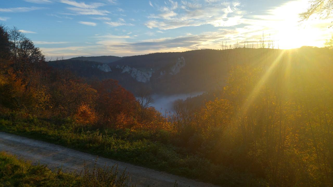 Fridingen an der Donau Berghaus Knopfmacher מראה חיצוני תמונה